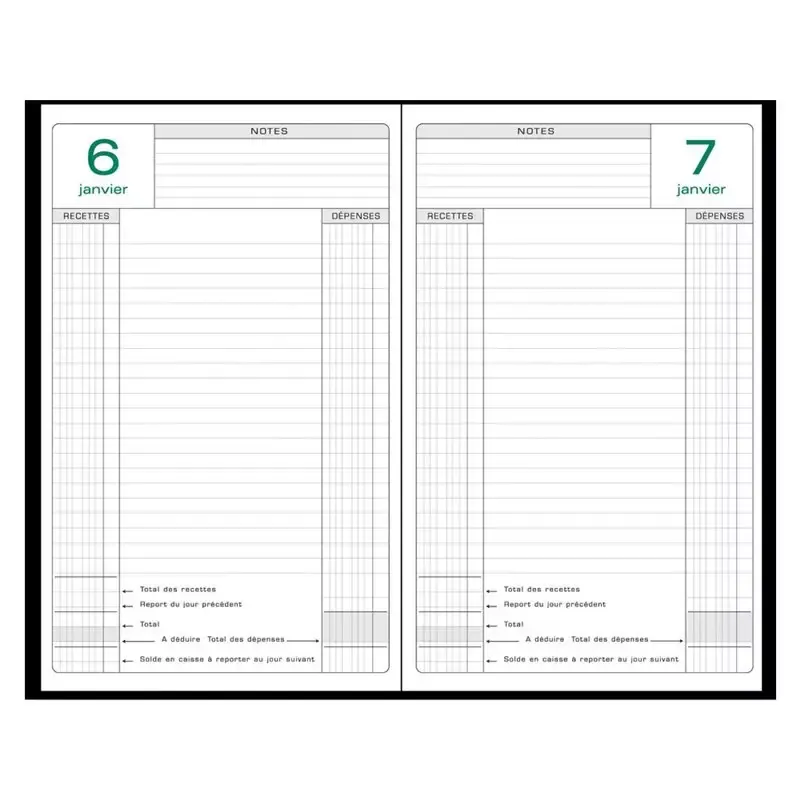 Agenda perpétuel de caisse Exacompta 21 × 14,8 cm, 1 jour par page, coloris assortis