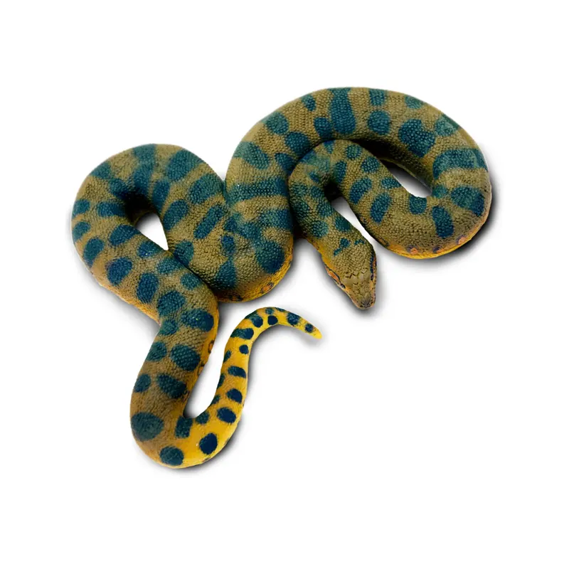 Anaconda vert Safari Ltd - Figurine réaliste 100688