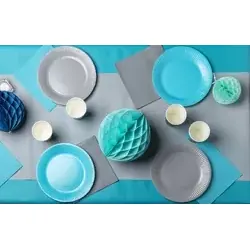 Assiette en carton FSC sans ajouts de plastique