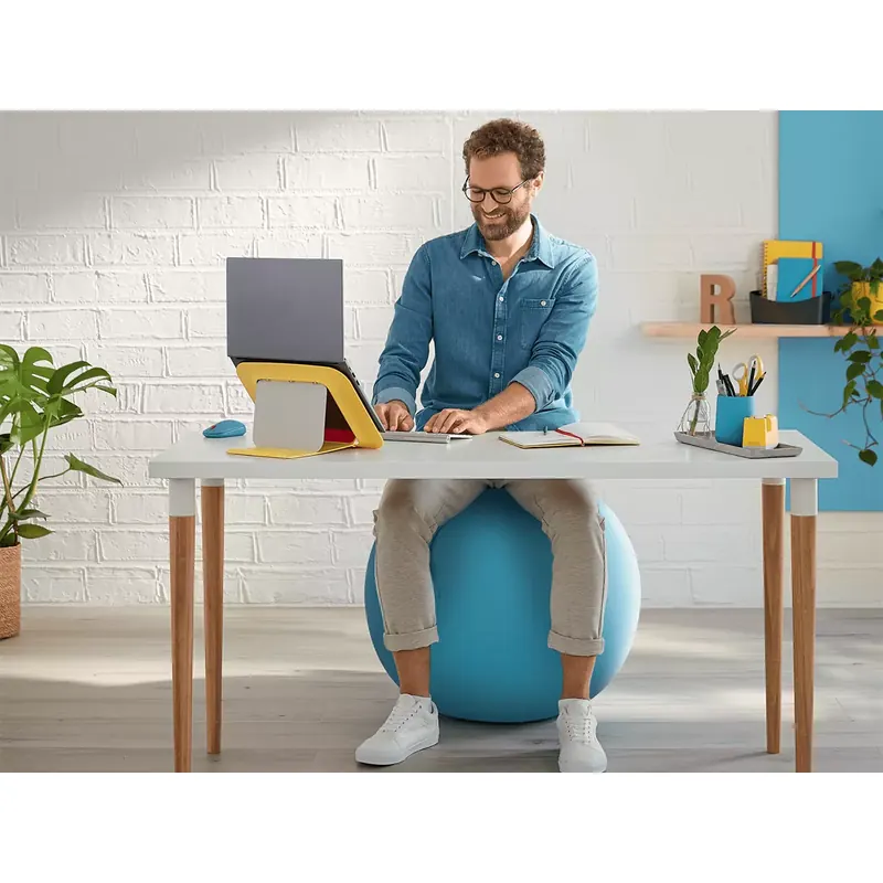 Ballon d'assise ergonomique