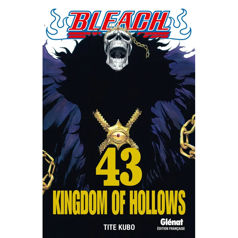 Bleach - Tome 43 : Kingdom of Hollows