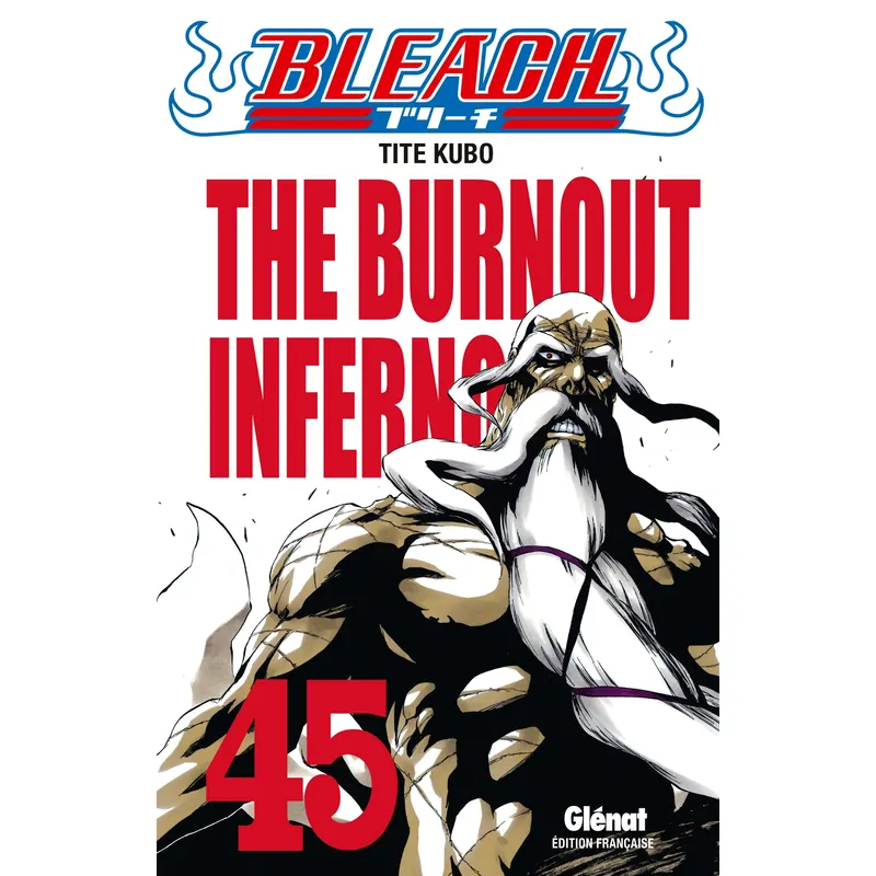 Bleach - Tome 45 : The Burnout Inferno