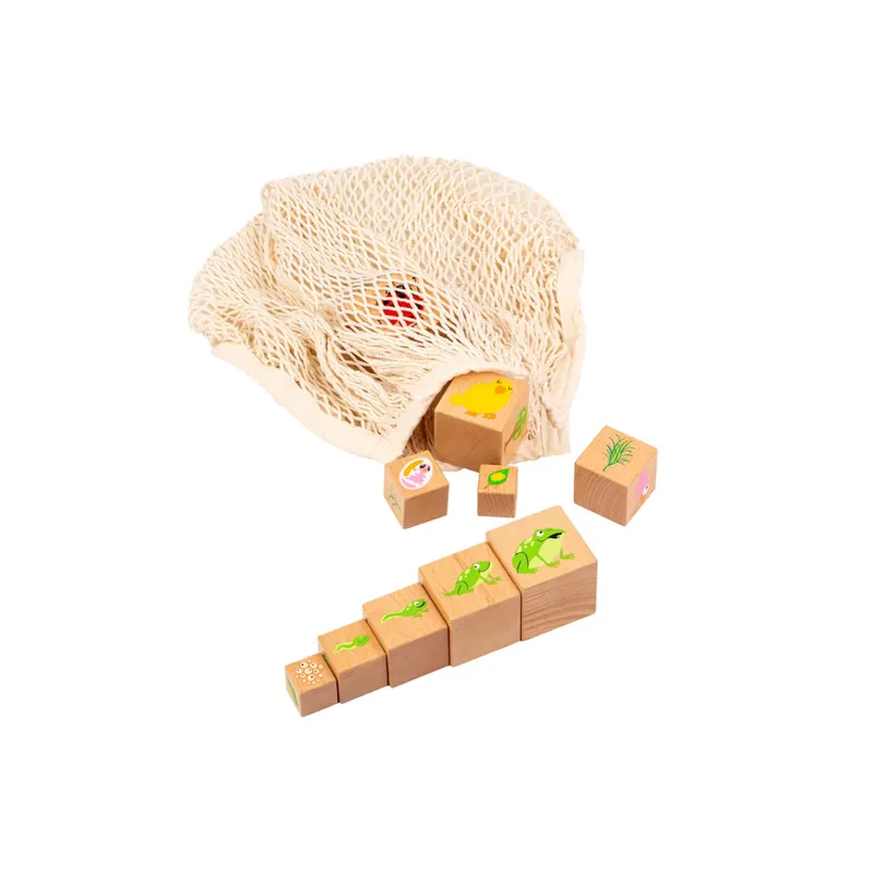 Blocs en Bois - Cycle de Vie (10 Pièces)