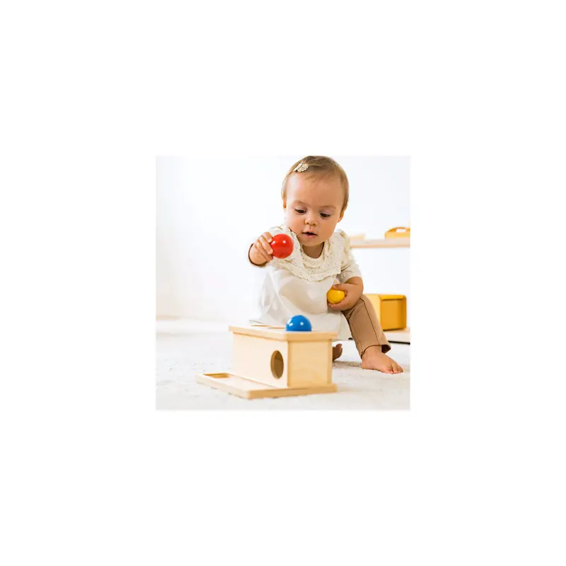 Boîte à Pousser Montessori - Développement Motricité Fine et Permanence de l'Objet