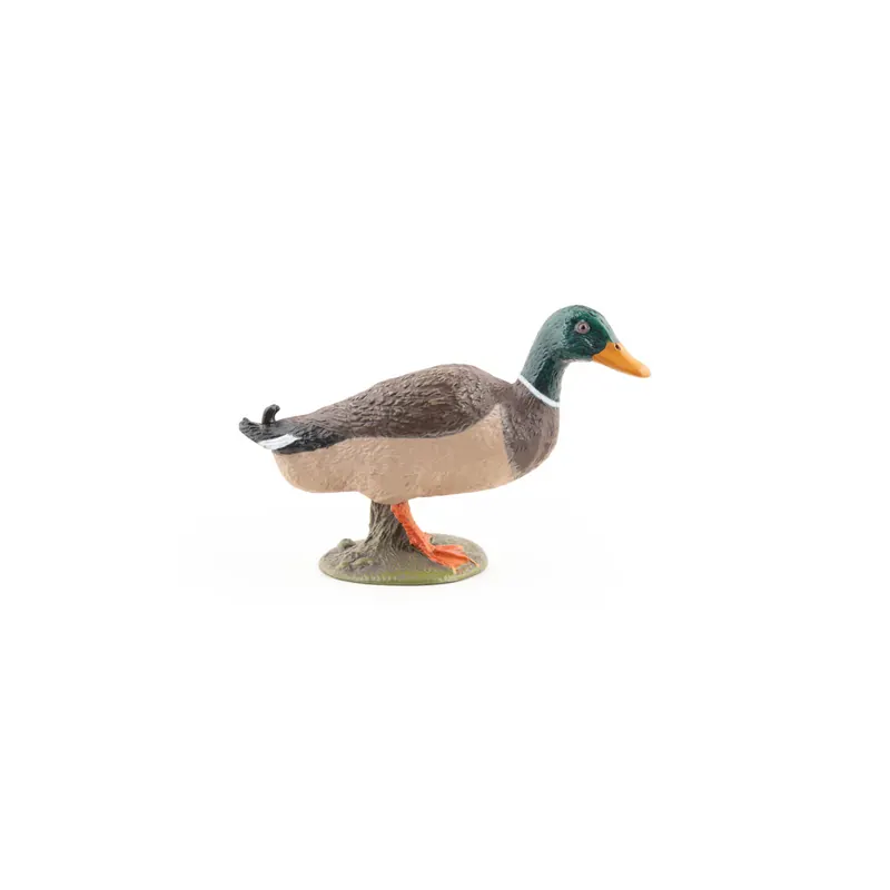 Canard colvert – Figurine Papo 51155