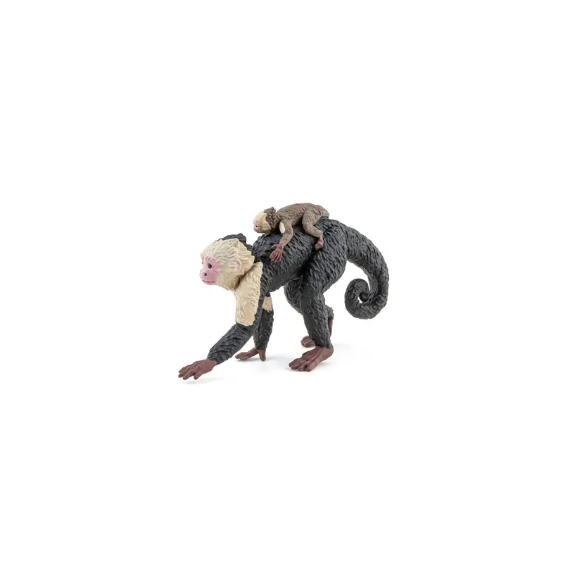 Capucin – Figurine Papo 50312