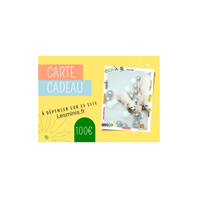 Carte Cadeau Lesminis.fr 100€ - Faites un Grand Geste