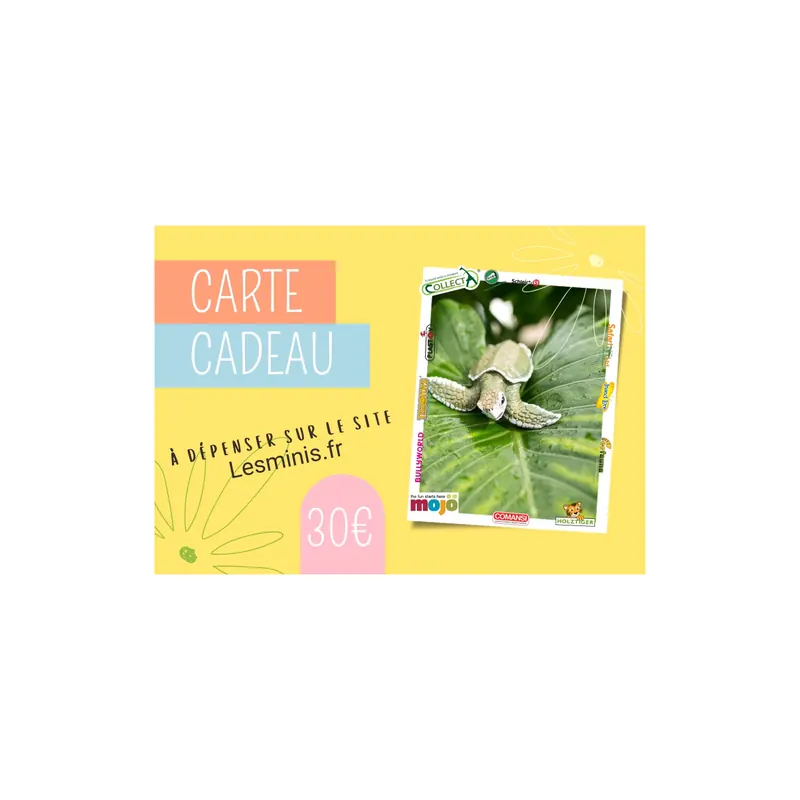 Carte Cadeau Lesminis.fr 30€ - Enrichissez Votre Collection