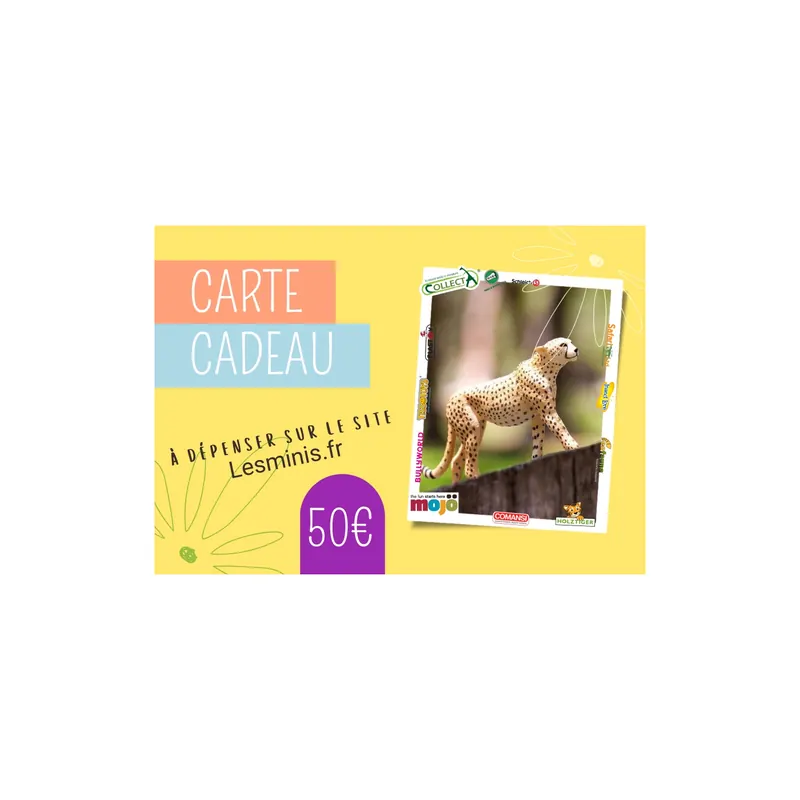Carte Cadeau Lesminis.fr 50€ - Expérience Enrichissante