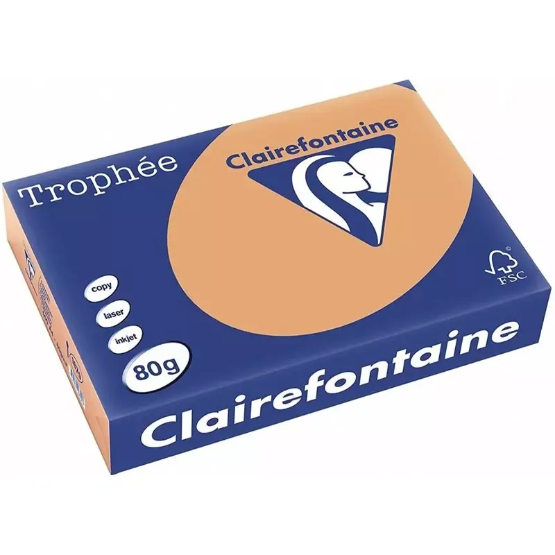 Clairalfa Papier couleur Trophée - A4 - 80 g/m2 - caramel