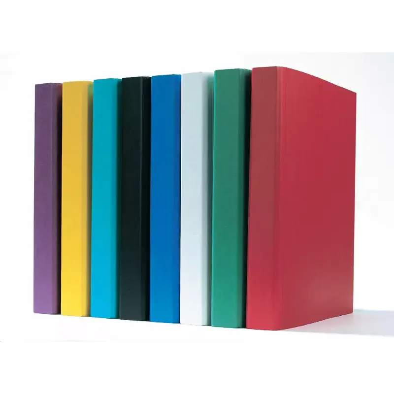Classeur recyclé couleur à anneaux A4