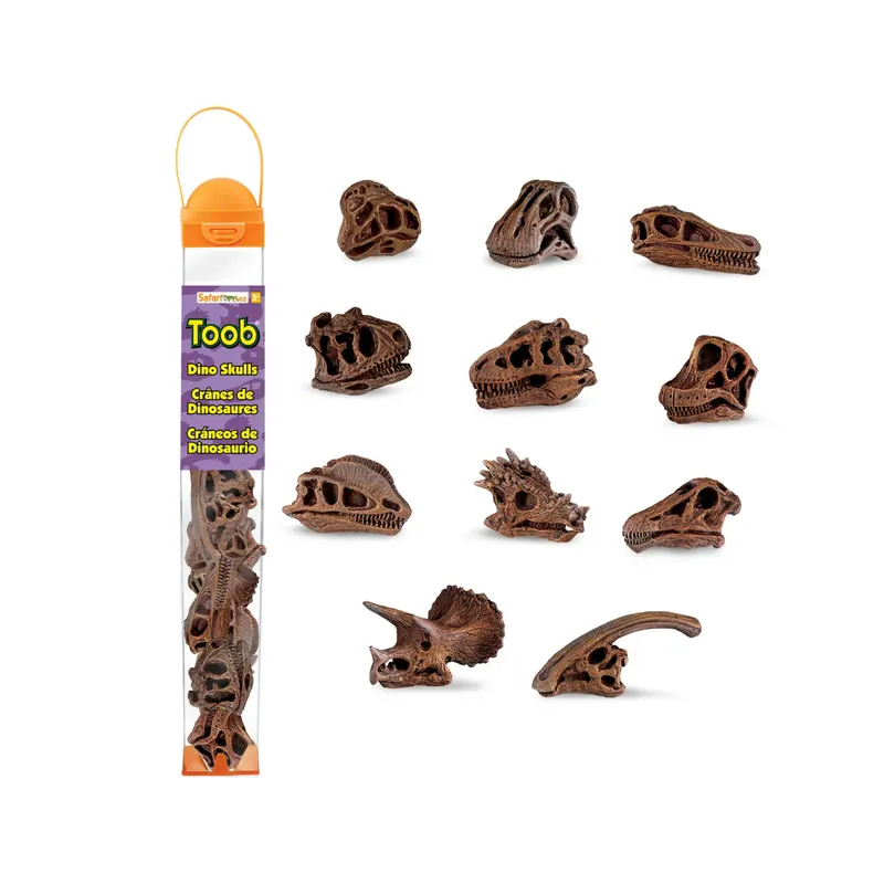 Crânes de dinosaures Toob - Lot de Figurines fossiles - Tube Safari Ltd® 687404