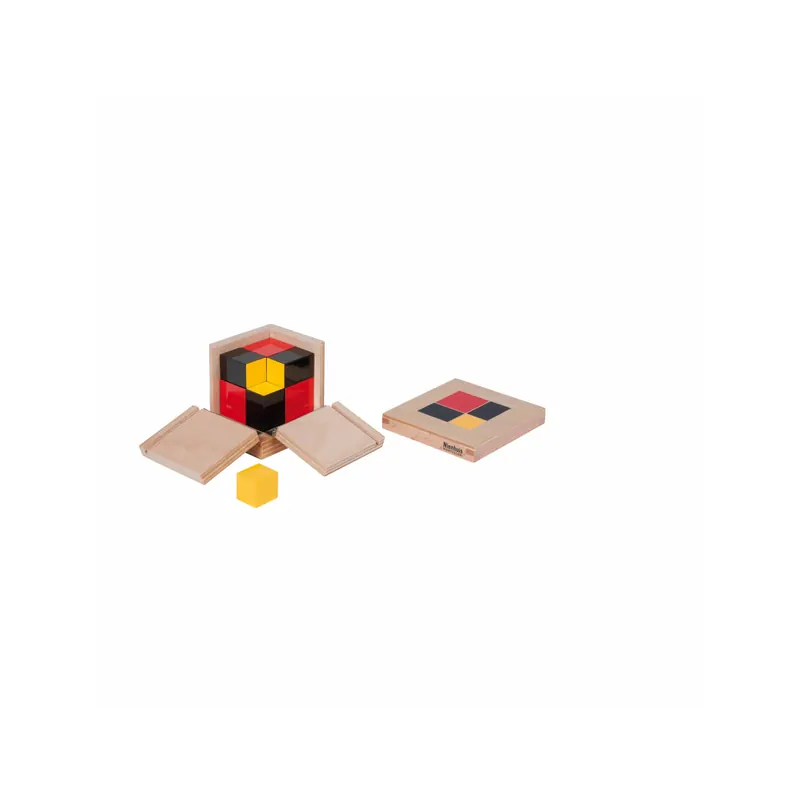 Cube du Binôme Algébrique | Nienhuis Montessori