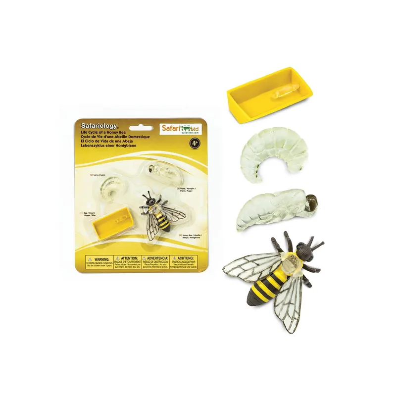 Cycle de vie de l'abeille - Jouet éducatif Safari Ltd - 4 Figurines