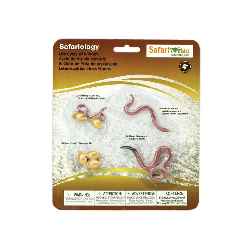 Cycle de vie du ver de terre (Lumbricus terrestris) - Figurines éducatives Safari Ltd