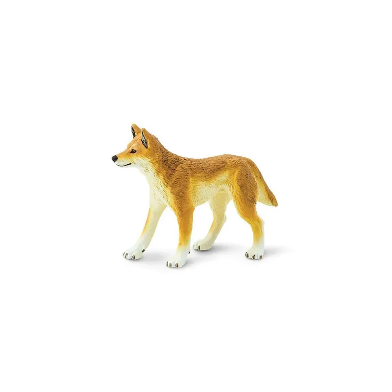 Dingo Safari Ltd - Chien sauvage d'Australie 228229