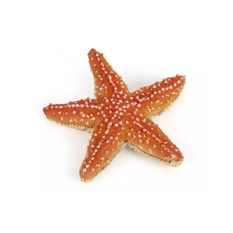 Étoile de Mer Figurine Papo - 56050