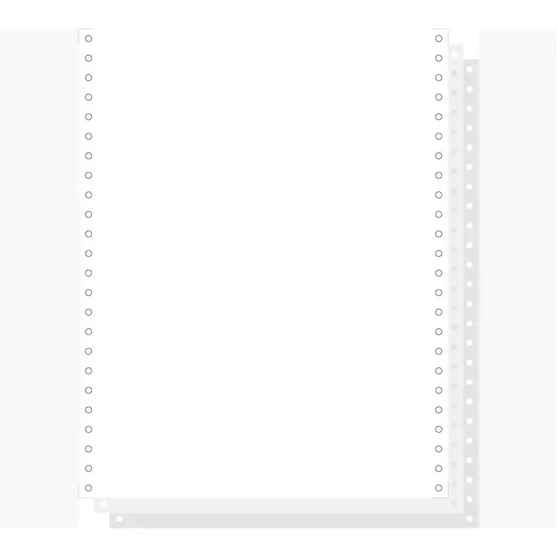 EXACOMPTA Papier listing en continu, 240 mm x 12" (30,48 cm)