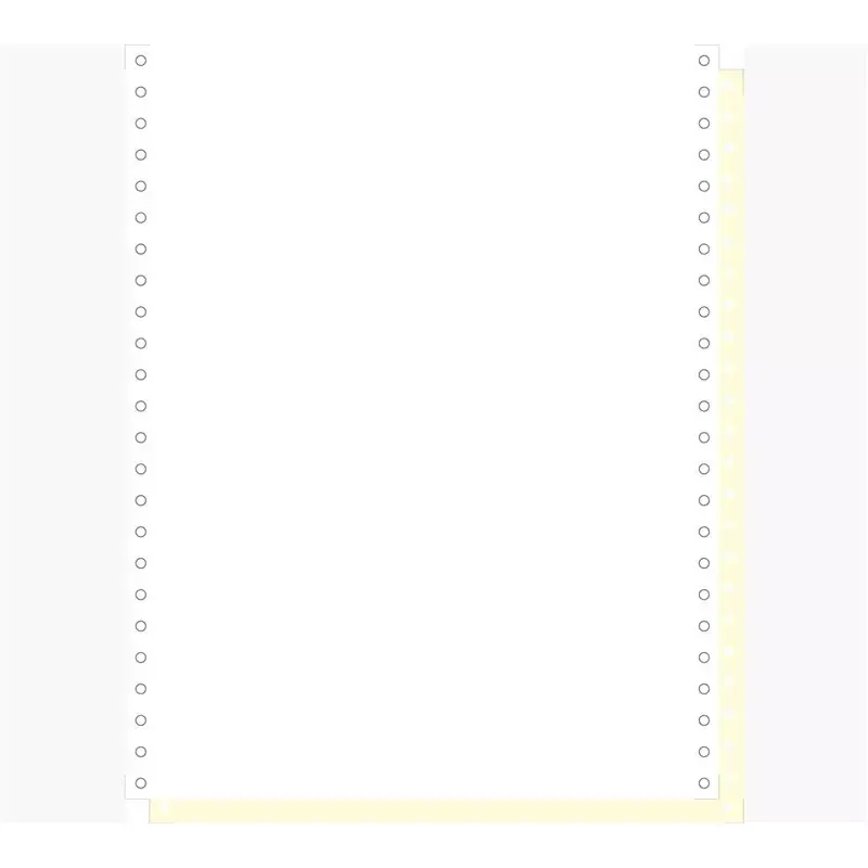 EXACOMPTA Papier listing en continu 30,48 cm (12") x 240 mm