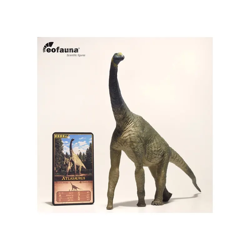 Figurine Atlasaurus Eofauna : Un Neosauropode Primitif