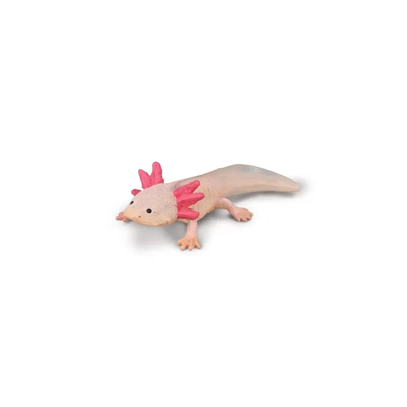 Figurine Axolotl CollectA 80015 - Amphibien Réaliste