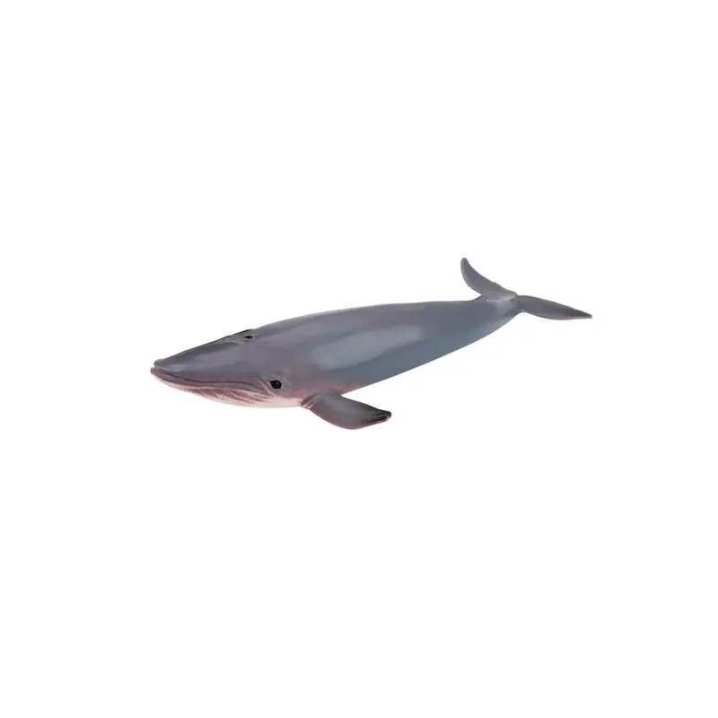 Figurine baleine bleue ToyMany (petite)