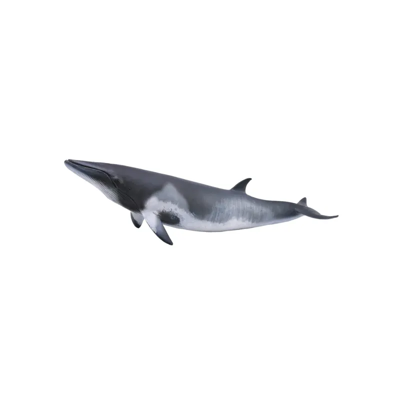 Figurine baleine de minke - Animaux marins Collecta 88862