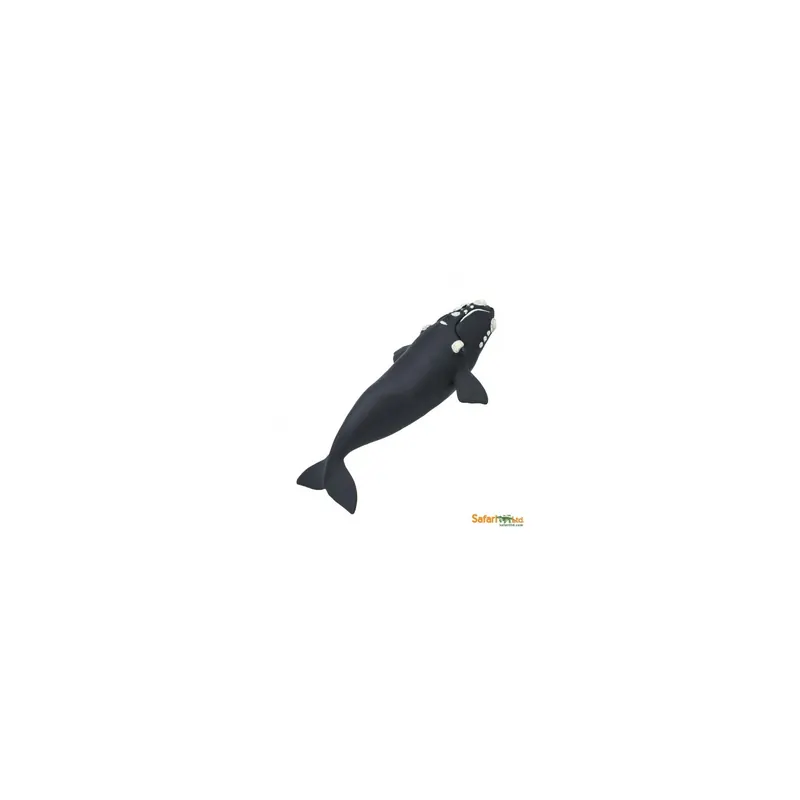 Figurine Baleine franche - Safari Ltd® 204229