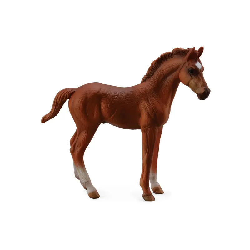 Figurine cheval pur sang anglais Thoroughbred Collecta 88671 poulain