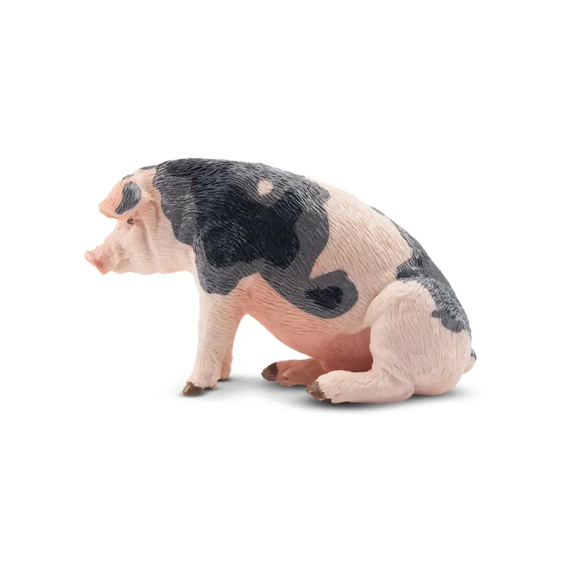 Figurine cochon Pietrain mâle assis ToyMany