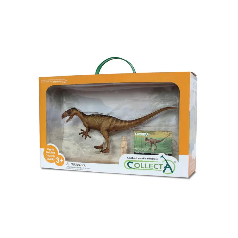 Figurine dinosaure 1:40 neovenator Collecta 89452