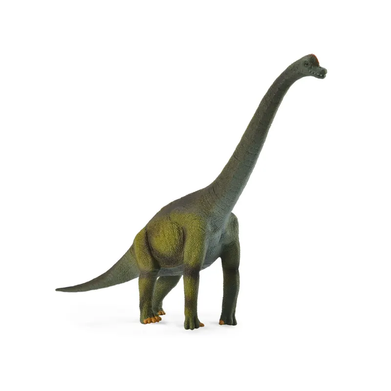 Figurine dinosaure brachiosaurus Collecta 88121