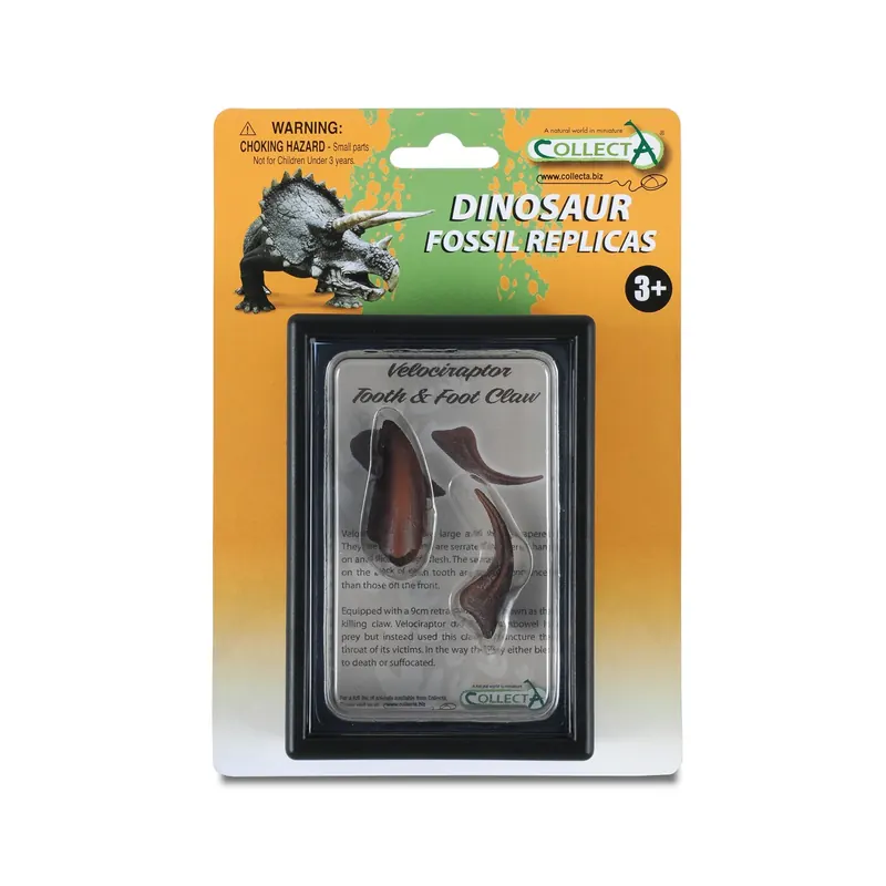 Figurine dinosaure dent et griffe de pied de velociraptor Collecta 89291