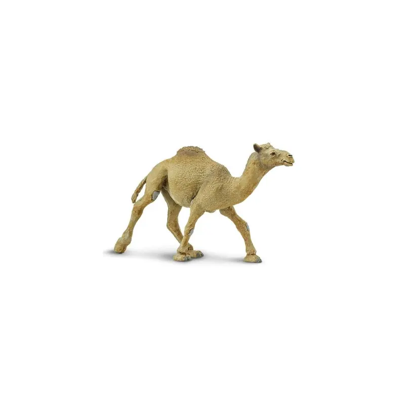 Figurine Dromadaire - Safari Ltd® 222429