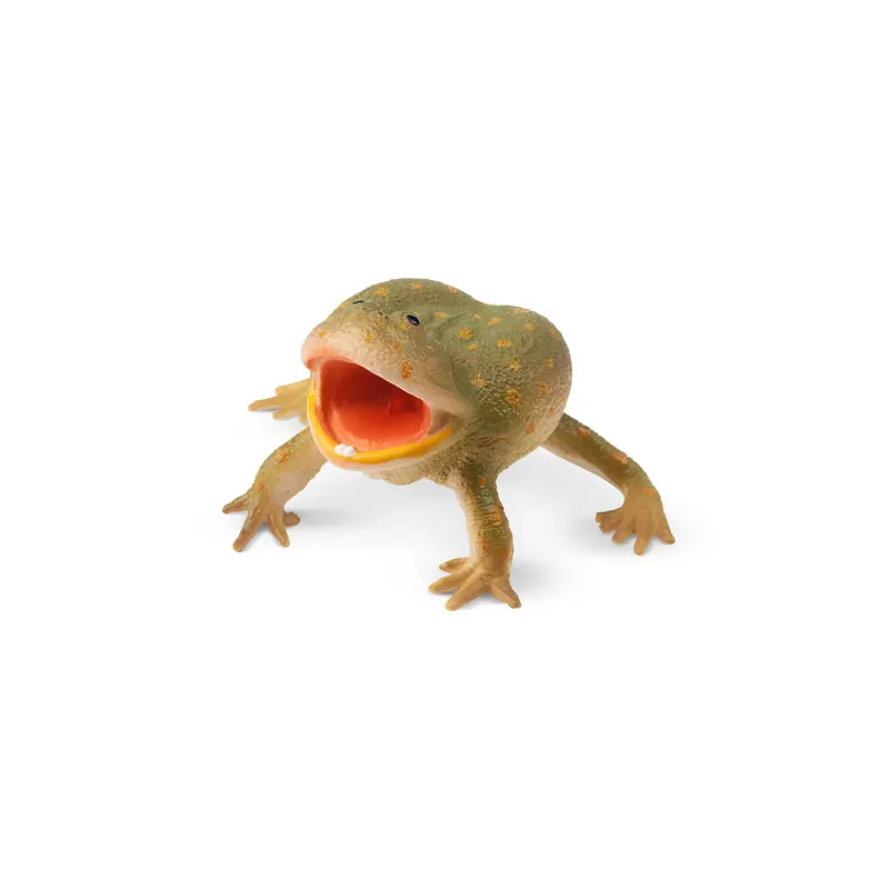Figurine grenouille de Budgett ToyMany