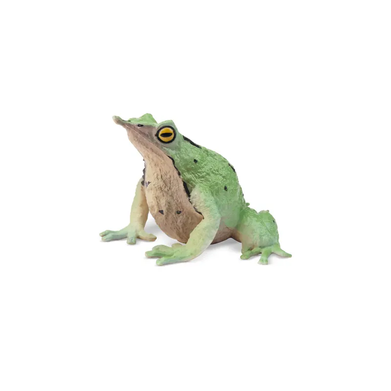 Figurine grenouille de Darwin ToyMany