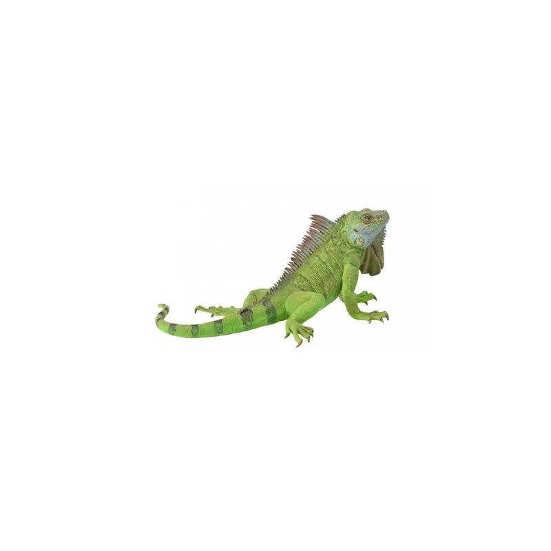 Figurine Iguane - Collecta 88965