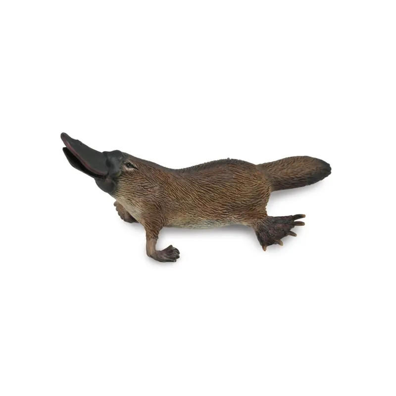 Figurine ornithorynque - animaux sauvages Collecta 88795