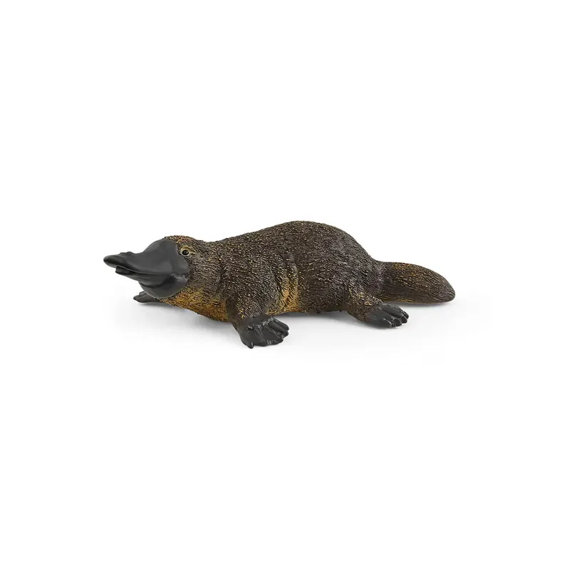 Figurine Ornithorynque Schleich - Curieux mammifère ovipare