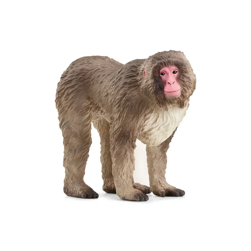 Figurine Primate Macaque japonais Schleich 14871