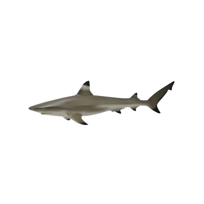 Figurine requin à pointes noires - Animaux marins Collecta 88726