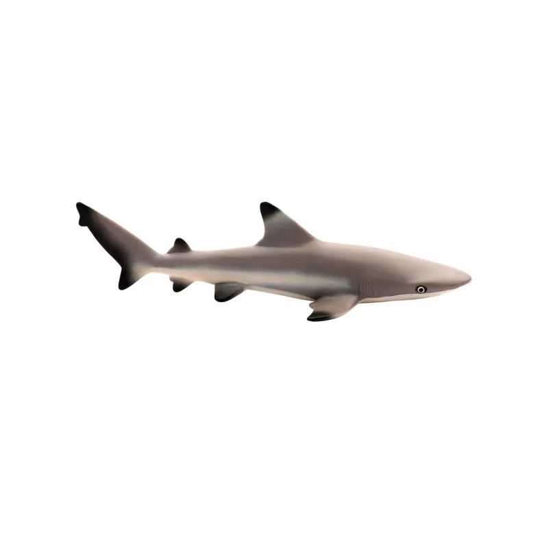 Figurine requin à pointes noires - Safari Ltd® 200029
