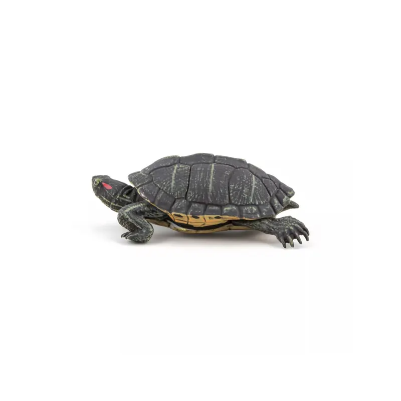 Figurine Tortue de Floride Papo 50309 - Collection Vie Sauvage