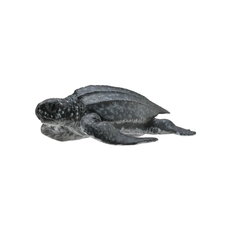 Figurine tortue luth - Animaux marins Collecta 88680