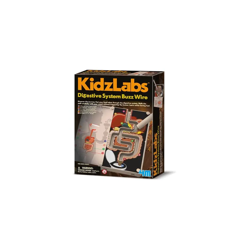 Fil électrique sonore système digestif - lot scientifique kidzlab