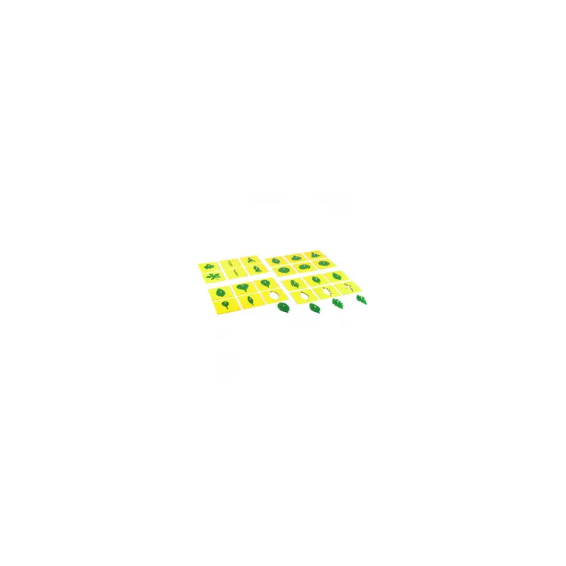 Formes de Feuilles - Pièces pour Cabinet de Botanique Montessori (24 puzzles)