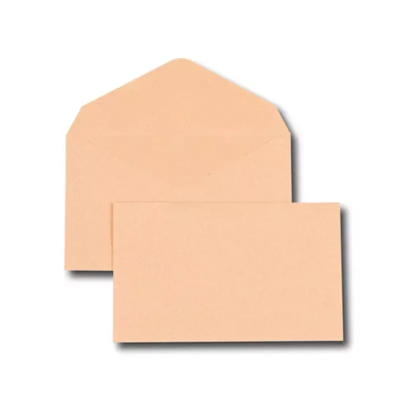GPV Enveloppes élection orange 90x140 75 g/m² de GPV Everyday