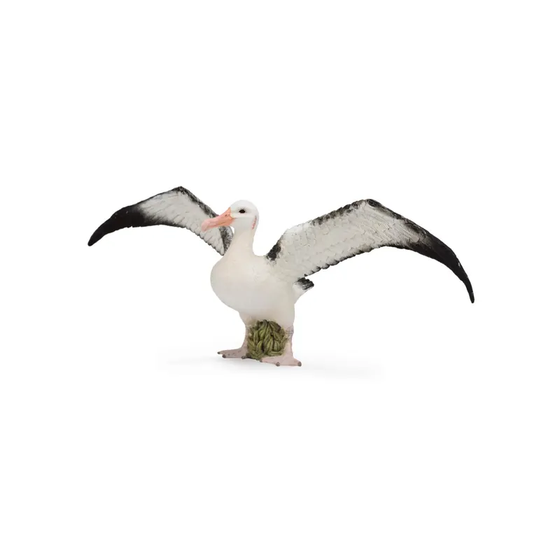Grand albatros Figurine Collecta 88765 oieau marin miniature
