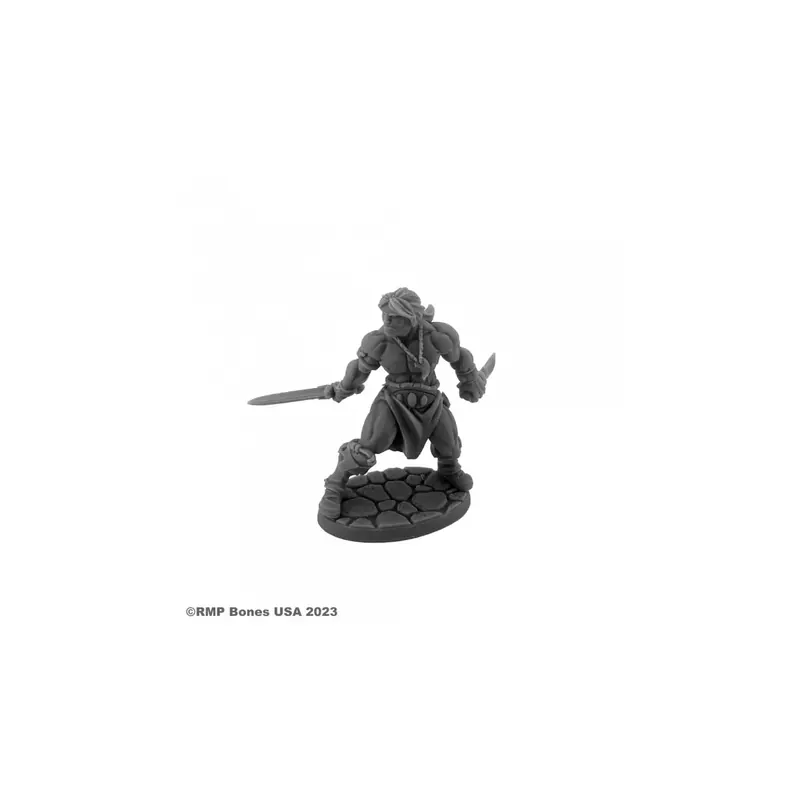 Hyborian Hero - Figurine Héros & Héroïnes Reaper Miniatures