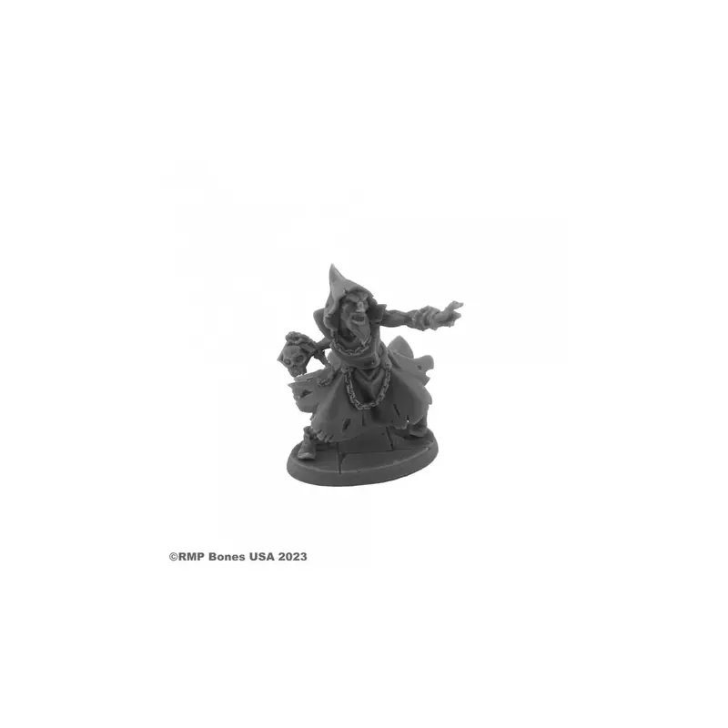Hyborian Wizard - Figurine Héros & Héroïnes Reaper Miniatures